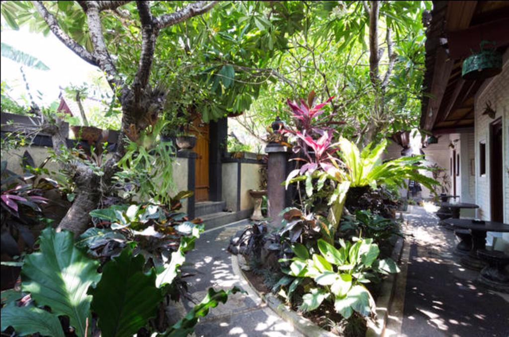 New Danas Canggu Guest House Kerobokan Екстериор снимка